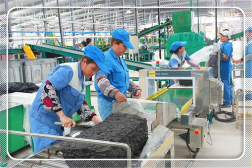 2021年适合农村开办的小型加工厂项目 投资少、前景广阔