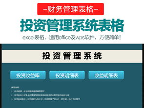 公司个人风险投资管理系统Excel报表素材